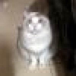 avatars