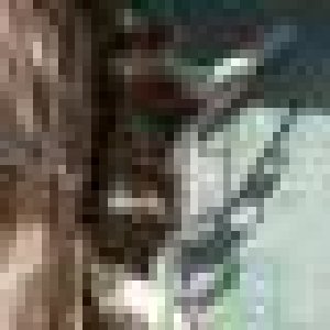 avatars