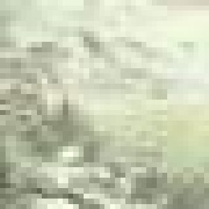 avatars