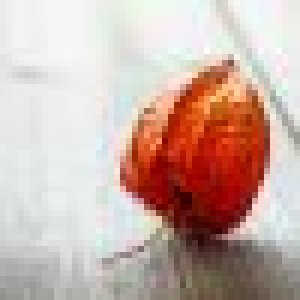 avatars