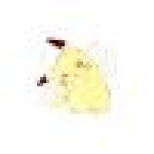 avatars