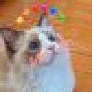 avatars