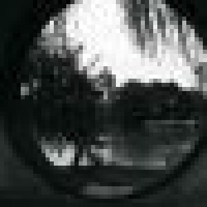 avatars