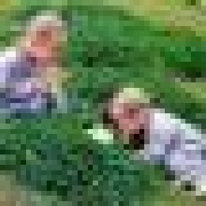 avatars