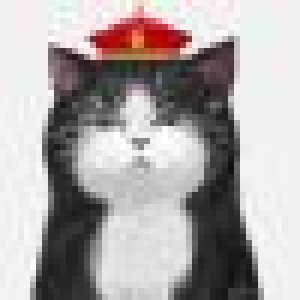avatars