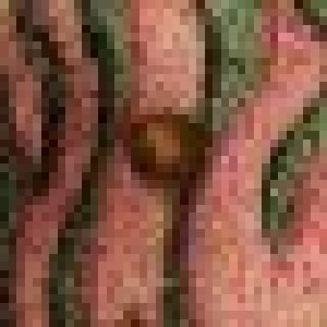 avatars