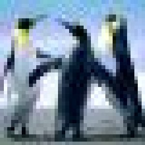 avatars