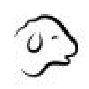 avatars