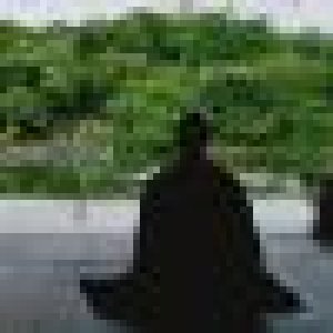 avatars