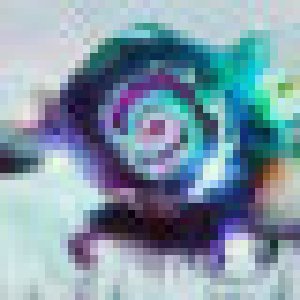 avatars
