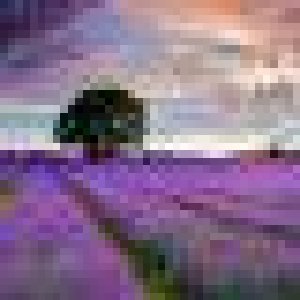avatars