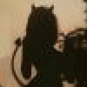 avatars