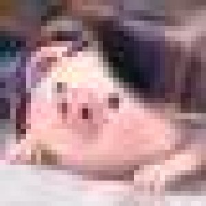 avatars