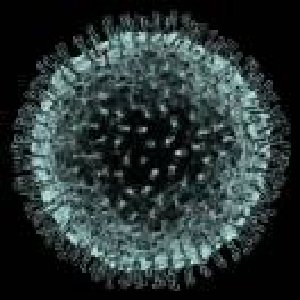 avatars