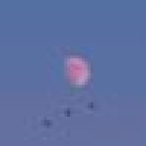 avatars