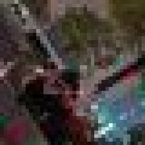avatars