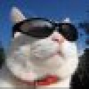 avatars