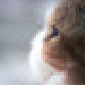 avatars