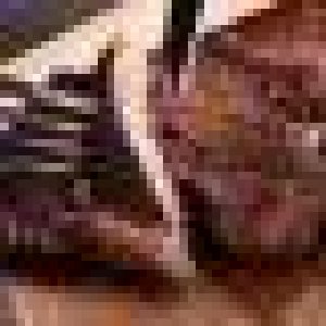 avatars