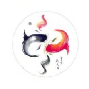 avatars