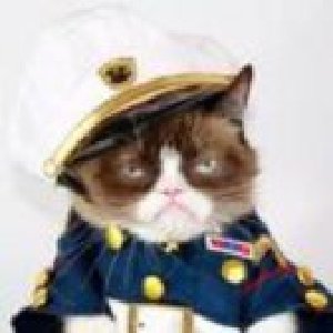 avatars