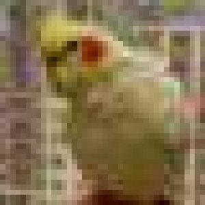 avatars