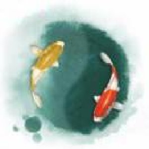 avatars