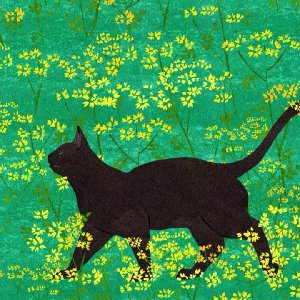 一直特立独行的猫Wang