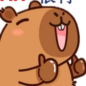 招财小猪