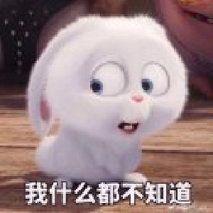 avatars