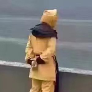 我是韭菜