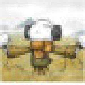 avatars