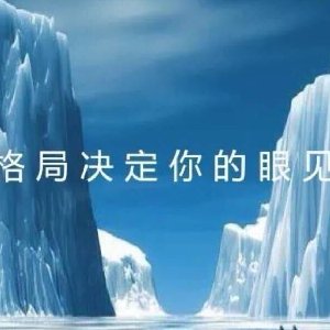小柚子重生
