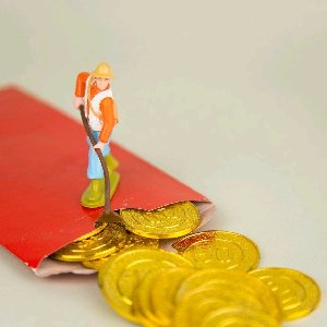 新股掘金