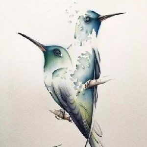 弘致公子