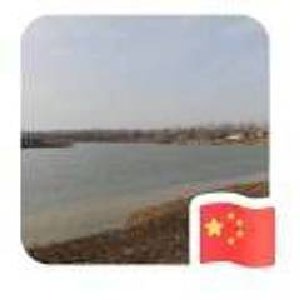 机动的股价小电车