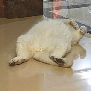 智慧纪要