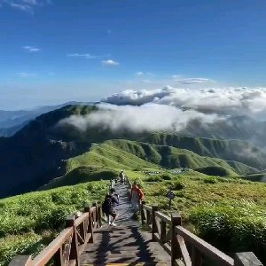 趋势交易
