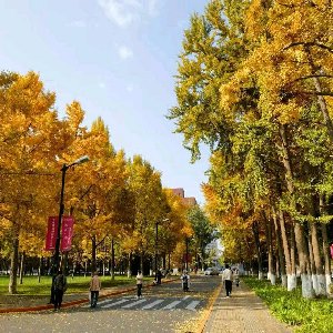 元健老康估值分析